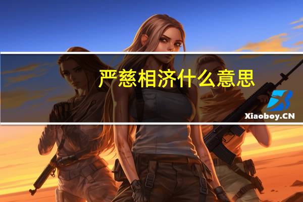 严慈相济什么意思