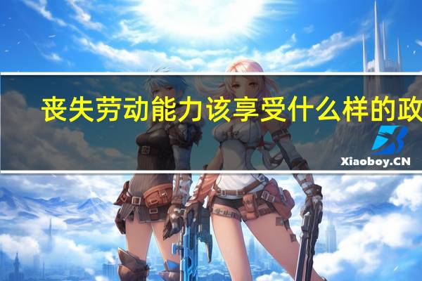 丧失劳动能力该享受什么样的政策（丧失贞德）