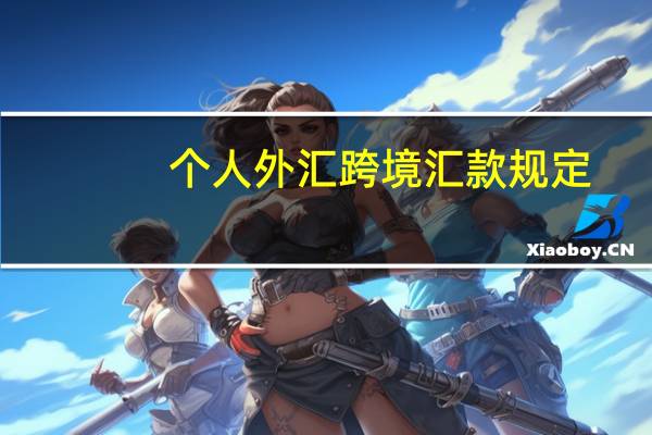 个人外汇跨境汇款规定(个人境外汇款最新规定)