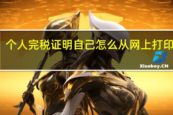 个人完税证明自己怎么从网上打印山西（个人完税证明自己怎么从网上打印）