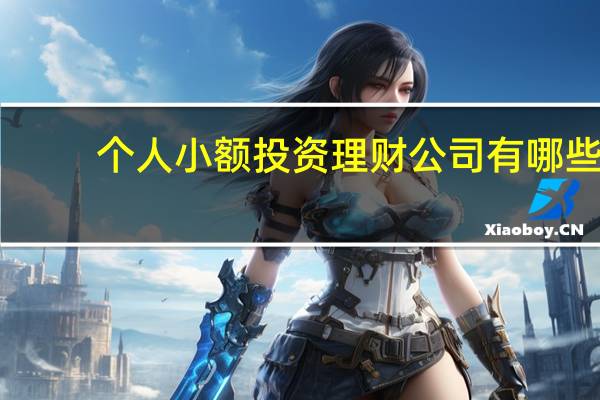 个人小额投资理财公司有哪些（个人小额投资理财公司有哪些）