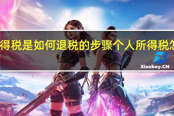 个人所得税是如何退税的步骤 个人所得税怎么申请退税