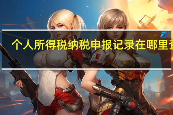 个人所得税纳税申报记录在哪里查询