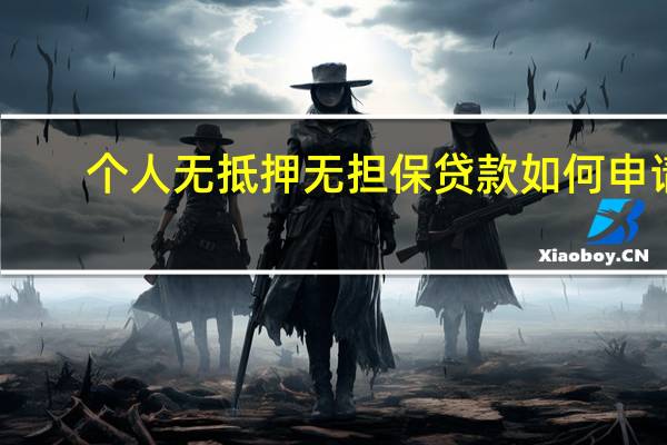 个人无抵押无担保贷款如何申请（如何申请个人小额无抵押贷款）