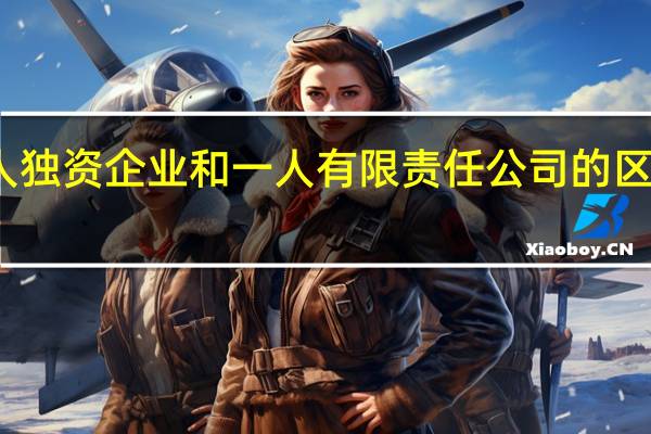 个人独资企业和一人有限责任公司的区别和联系
