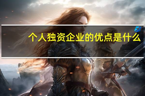 个人独资企业的优点是什么