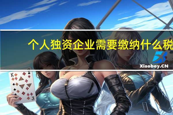 个人独资企业需要缴纳什么税(个人独资企业需要交哪些税)