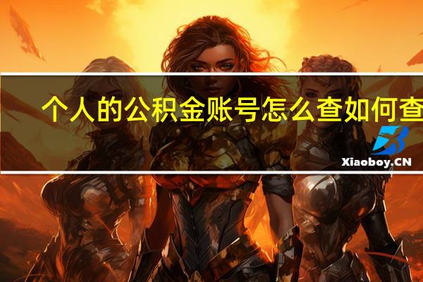 个人的公积金账号怎么查　如何查询