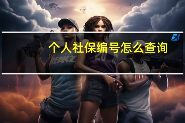 个人社保编号怎么查询（个人社保编号）