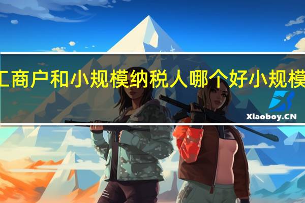 个体工商户和小规模纳税人哪个好小规模纳税人区别（个体工商户和小规模纳税人哪个好）