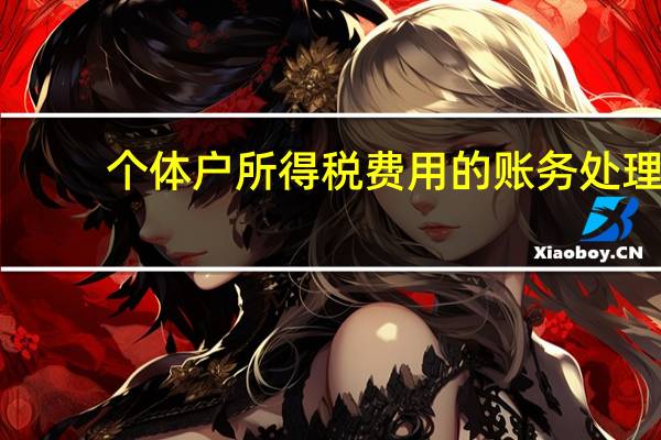个体户所得税费用的账务处理（所得税费用的账务处理）