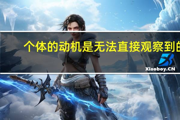 个体的动机是无法直接观察到的