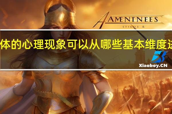 个体的心理现象可以从哪些基本维度进行划分