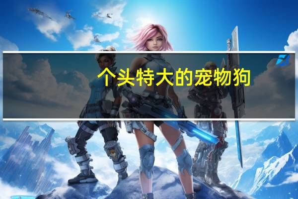 个头特大的宠物狗