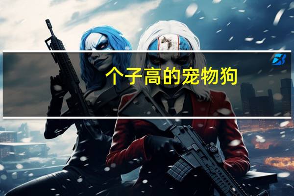 个子高的宠物狗