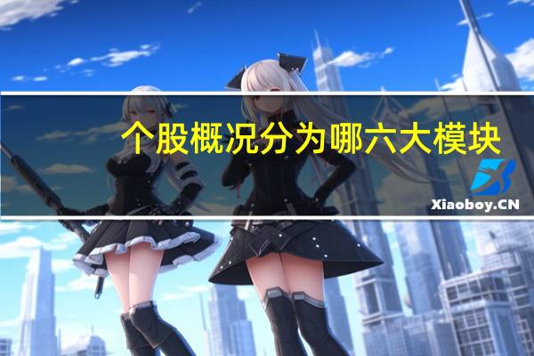 个股概况分为哪六大模块
