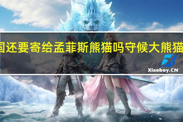 丫丫回国还要寄给孟菲斯熊猫吗 守候大熊猫丫丫平安回国