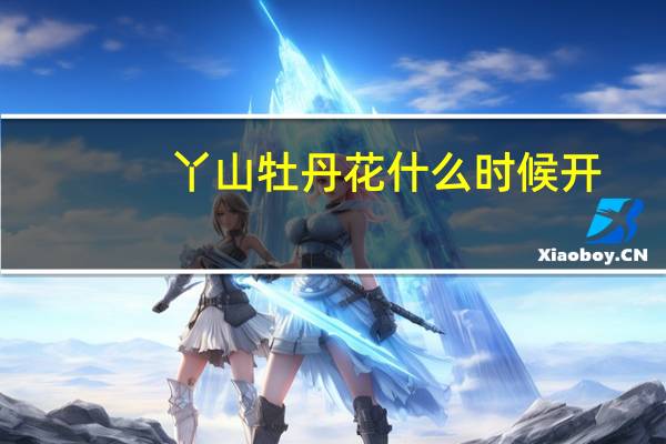 丫山牡丹花什么时候开