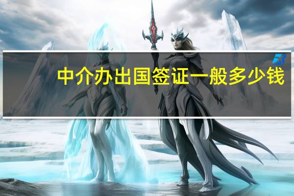 中介办出国签证一般多少钱