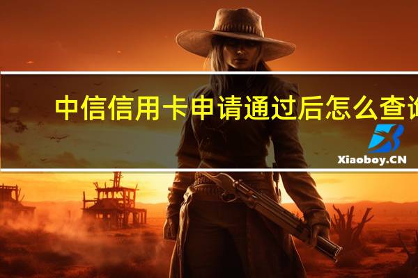 中信信用卡申请通过后怎么查询（中信信用卡申请进度查询方式有哪些）