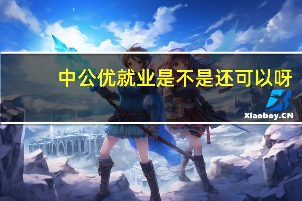 中公优就业是不是还可以呀