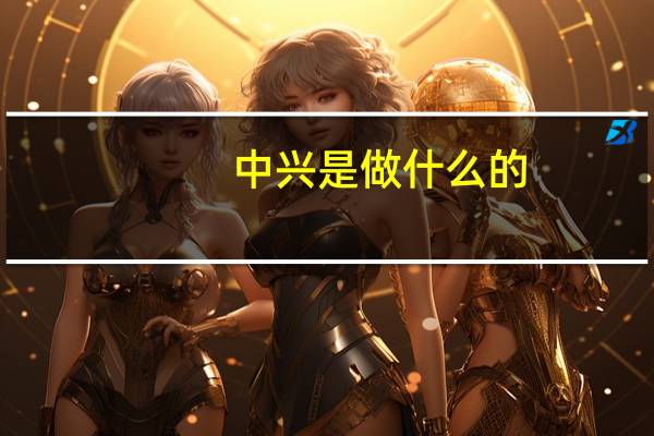 中兴是做什么的