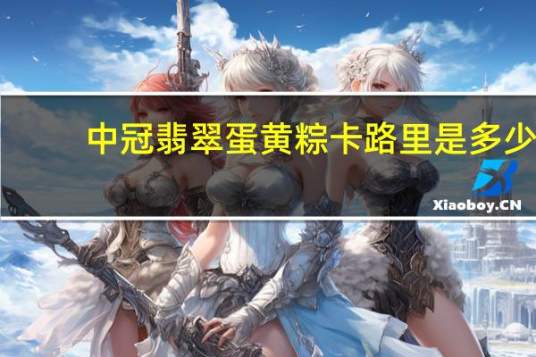中冠 翡翠蛋黄粽卡路里是多少