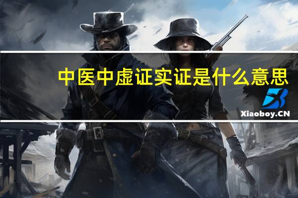 中医中虚证实证是什么意思