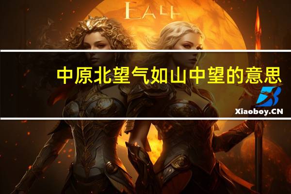 中原北望气如山中望的意思