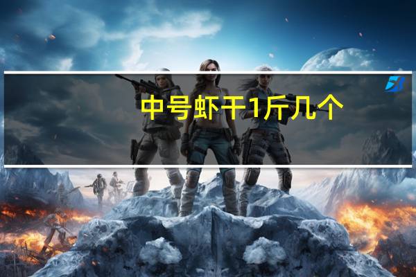 中号虾干1斤几个