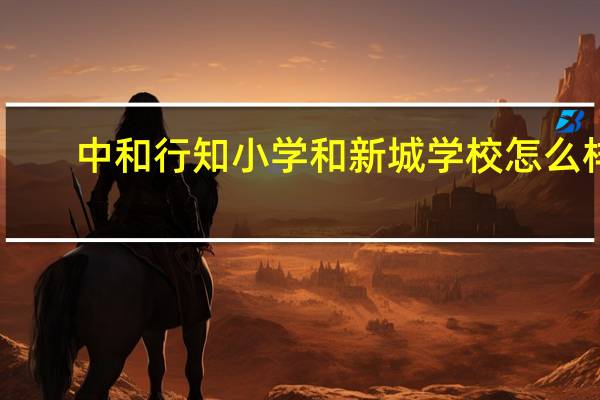 中和行知小学和新城学校怎么样