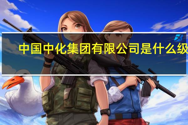 中国中化集团有限公司是什么级别（中国中化集团有限公司）