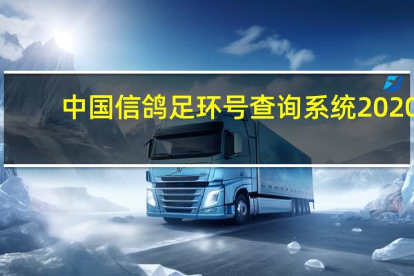 中国信鸽足环号查询系统2020（中国信鸽足环号查询）