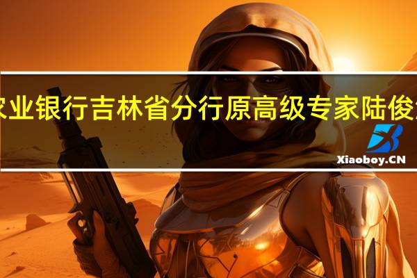 中国农业银行吉林省分行原高级专家陆俊波被“双开”