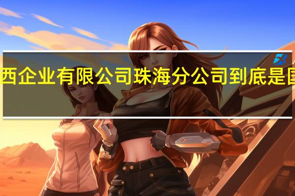 中国华西企业有限公司珠海分公司到底是国企还是私企
