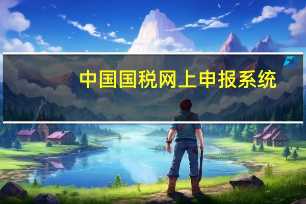 中国国税网上申报系统（国税地税网上申报系统）