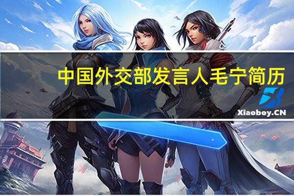 中国外交部发言人毛宁简历（中国外交部发言人）