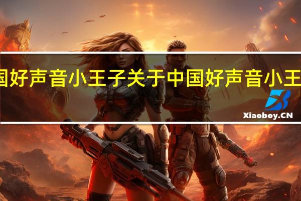 中国好声音 小王子 关于中国好声音 小王子的介绍