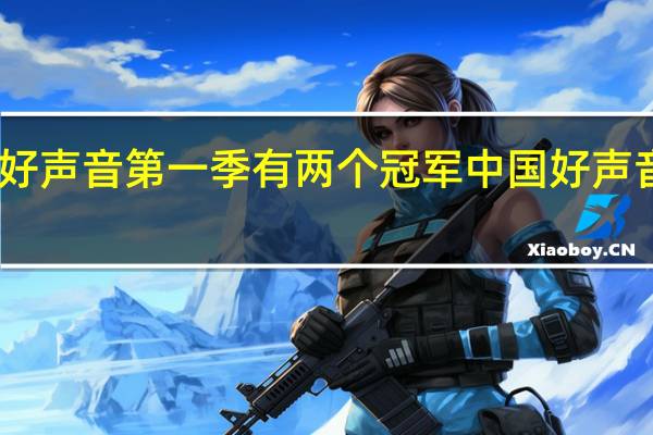 中国好声音第一季有两个冠军 中国好声音谁是冠军
