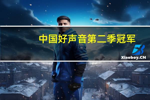 中国好声音第二季冠军（中国好声音第一季冠军）