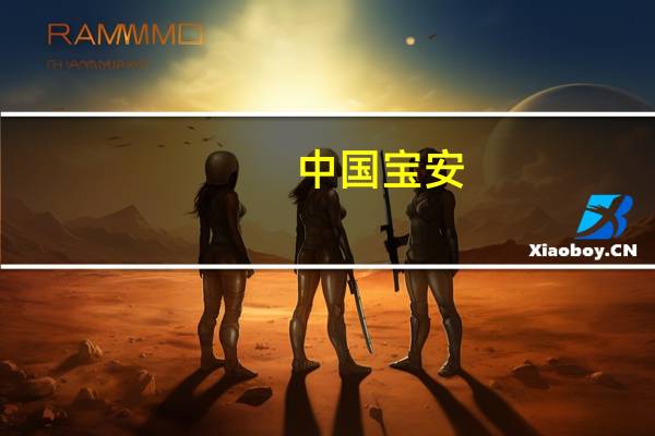 中国宝安：下属子公司国际精密的业务有涉及汽车零部件