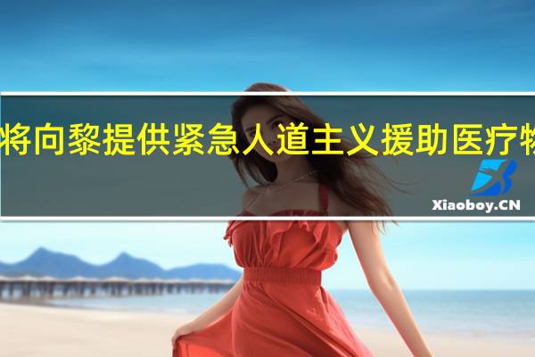 中国将向黎提供紧急人道主义援助 医疗物资助救援