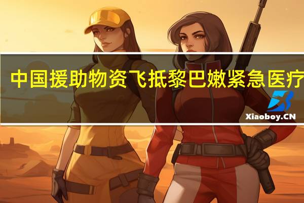 中国援助物资飞抵黎巴嫩 紧急医疗救助
