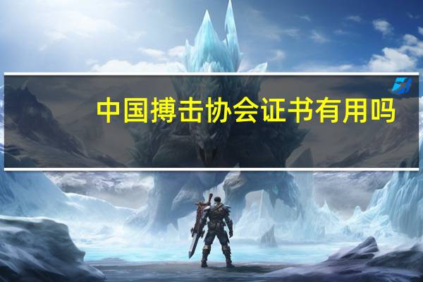 中国搏击协会证书有用吗