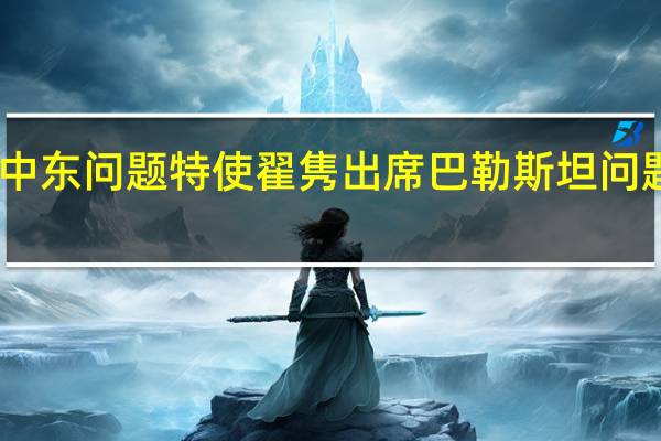 中国政府中东问题特使翟隽出席巴勒斯坦问题开罗和平峰会