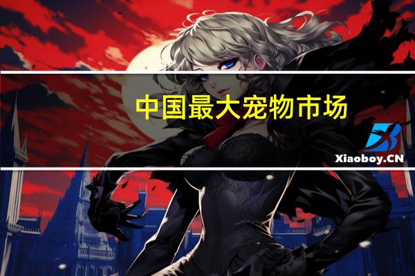中国最大宠物市场