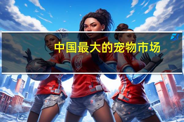 中国最大的宠物市场
