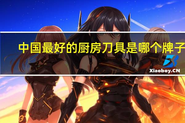 中国最好的厨房刀具是哪个牌子的