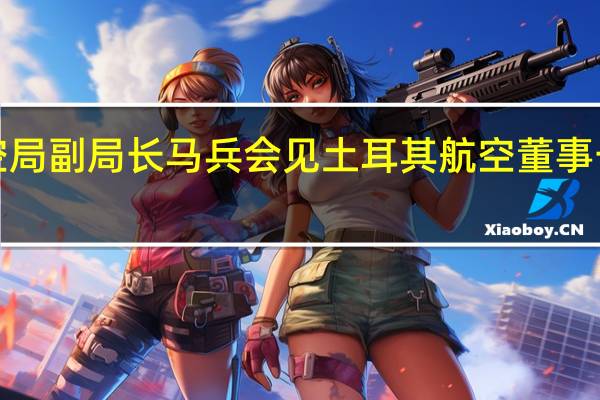 中国民用航空局副局长马兵会见土耳其航空董事长阿赫麦特·博拉特