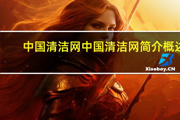中国清洁网中国清洁网简介概述